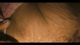 Chérie brune meilleur video de porno Asstastic baise avec ses meilleurs amis dur